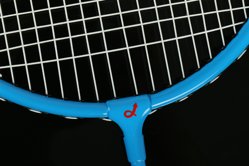 Racchetta da badminton in alluminio CX-B218 Blu